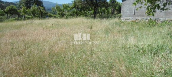 1 Schlafzimmer Villa in Marco de Canaveses, Portugal, Nr. 52099 15