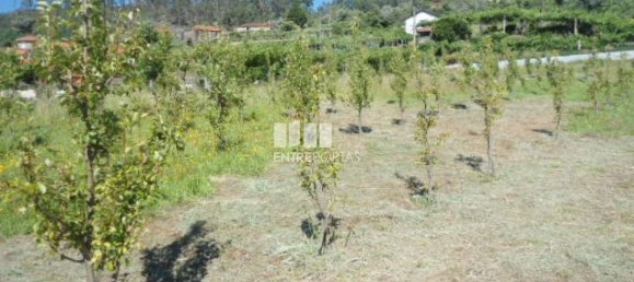 1 Schlafzimmer Villa in Marco de Canaveses, Portugal, Nr. 52099 9