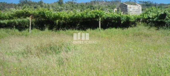 1 Schlafzimmer Villa in Marco de Canaveses, Portugal, Nr. 52099 20