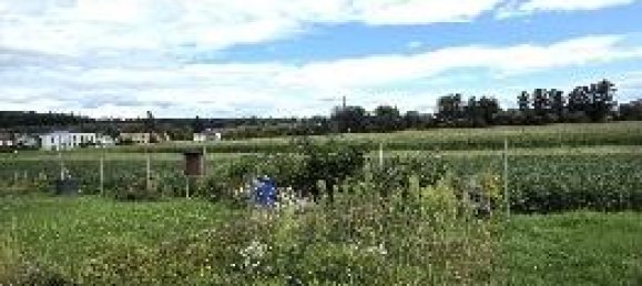 4-Zimmer Wohnung in Gleisdorf, Austria, Nr. 218923 12