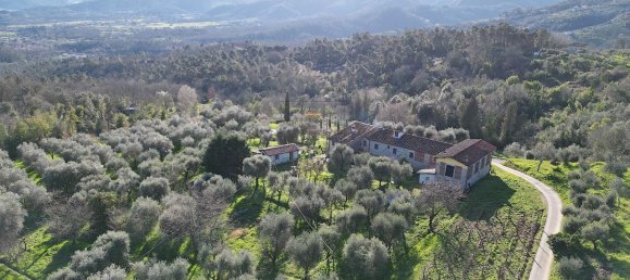 16 rooms House in Lucca, Italy No. 152462 3