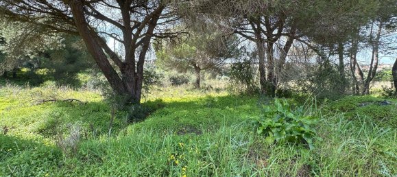 Terreno em Loulé, Portugal N.º 78059 5