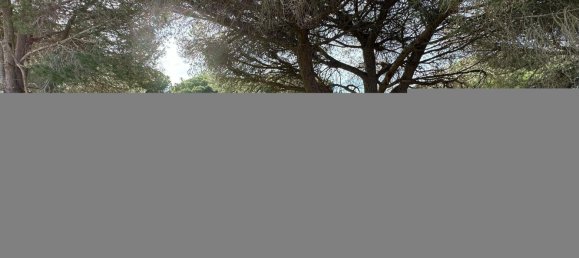 Terreno em Loulé, Portugal N.º 78059 4