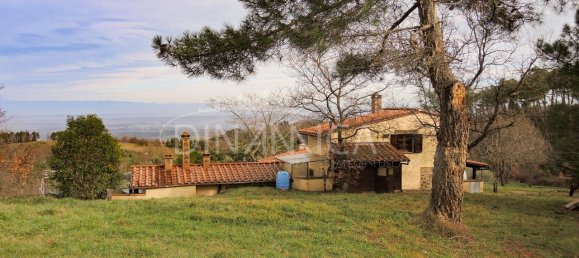 5-Zimmer Haus in Chianni, Italy, Nr. 231066 8