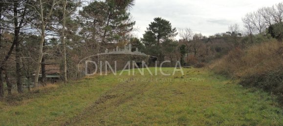 5-Zimmer Haus in Chianni, Italy, Nr. 231066 44