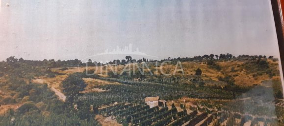 5-Zimmer Haus in Chianni, Italy, Nr. 231066 43