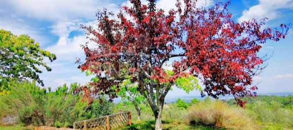 5-Zimmer Haus in Chianni, Italy, Nr. 231066 25