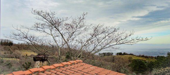 5-Zimmer Haus in Chianni, Italy, Nr. 231066 33