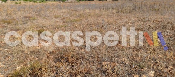 Grundstück in Veglie, Italy, Nr. 331735 3