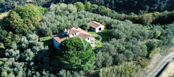 5 rooms Villa in Palaia, Italy No. 23568 10