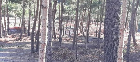 1330m² Land in Maceira, Portugal No. 57863 2