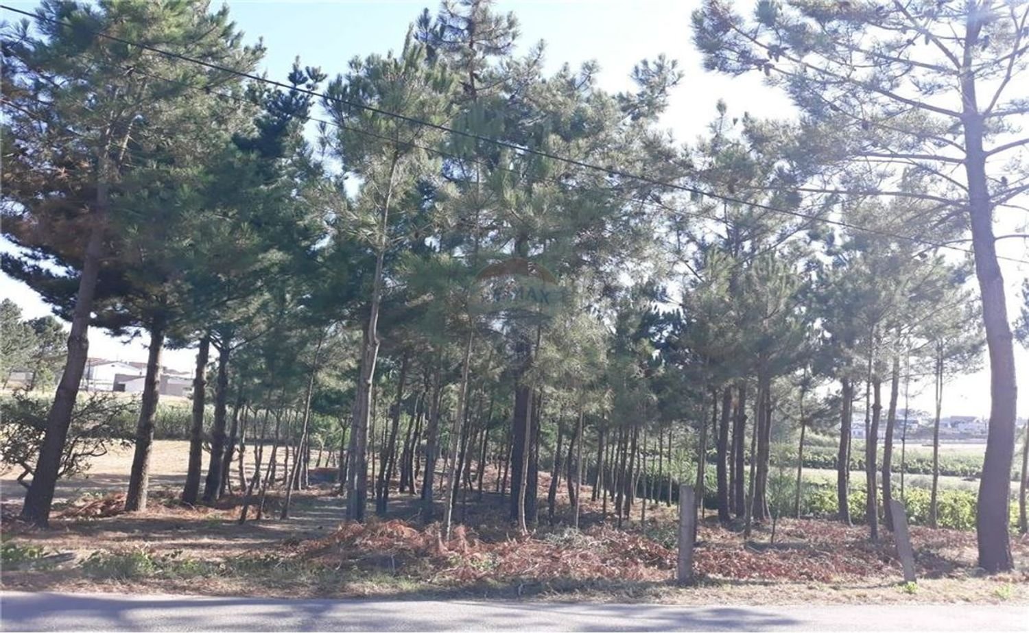 1330m² Land in Maceira, Portugal No. 57863