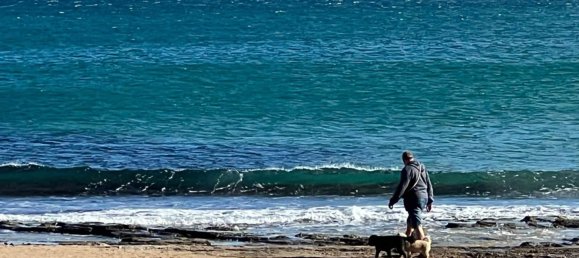 3 chambres Maison à Torrevieja, Spain No. 188658 29
