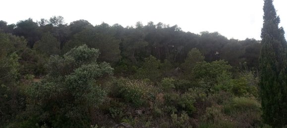 1 bedroom House in Tarragona, Spain No. 152903 13