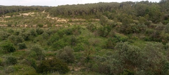 1 bedroom House in Tarragona, Spain No. 152903 15