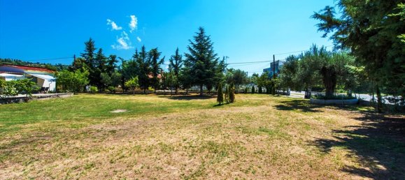 2500m² Hotel in Chalkidiki, Greece No. 6574 13