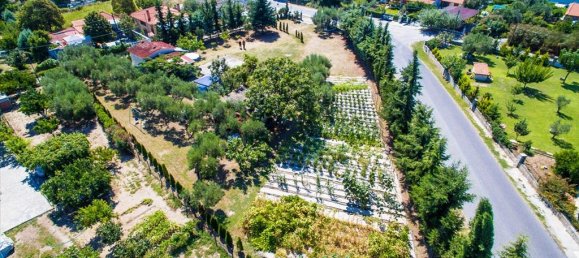 2500m² Hotel in Chalkidiki, Greece No. 6574 6