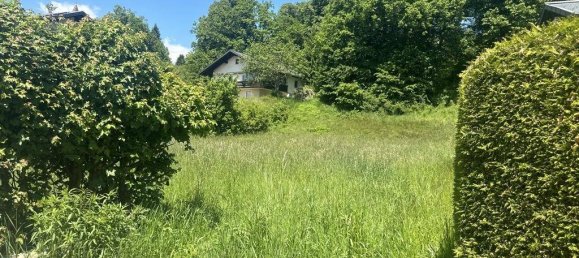  Land in Klagenfurt am Worthersee, Austria No. 194929 4