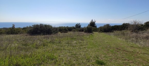 4170m² Hotel in Polygyros, Greece No. 3990 4