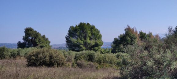 4170m² Hotel in Polygyros, Greece No. 3990 9