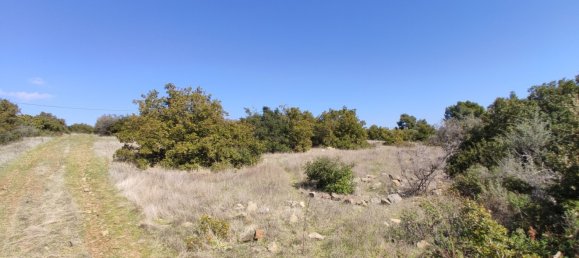 4170m² Hotel in Polygyros, Greece No. 3990 12