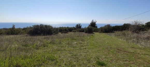 4170m² Hotel in Polygyros, Greece No. 3990 4