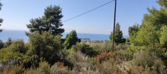 4170m² Hotel in Polygyros, Greece No. 3990 7