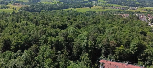 Квартира с 3 комнатами в Кематен ан дер Ибс, Австрия № 242221 3