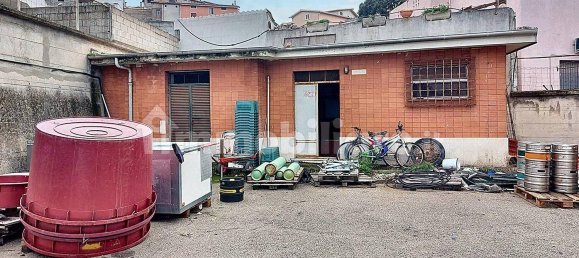 2-salle Entrepôt à Oliena, Italy No. 139378 6