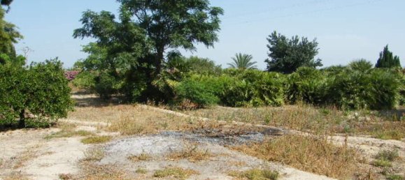 4 bedrooms Townhouse in Daya Nueva, Spain No. 132709 76