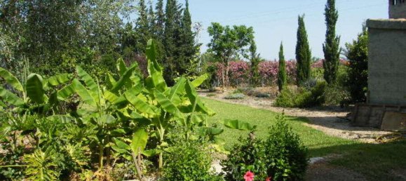 4 bedrooms Townhouse in Daya Nueva, Spain No. 132709 73