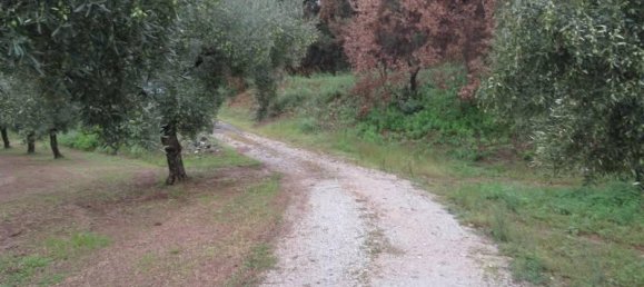 19290m² Land in Lamezia Terme, Italy No. 39280 5