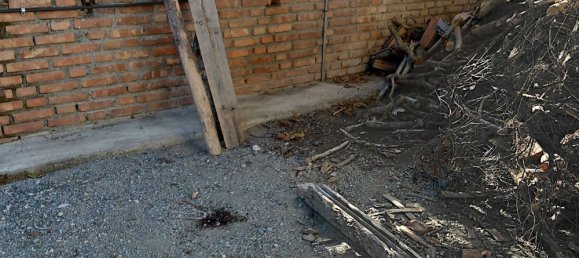 2 rooms House in Barcellona Pozzo di Gotto, Italy No. 263906 2