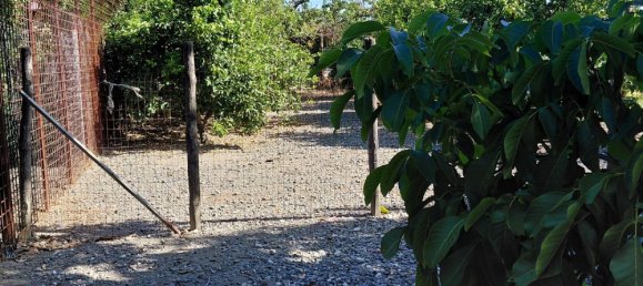 2 rooms House in Barcellona Pozzo di Gotto, Italy No. 263906 5