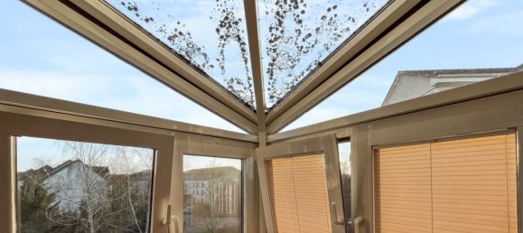 Estudio en Neubrandenburg, Germany No. 26849 8