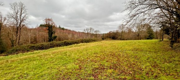 2 bedrooms House in Saint-Merd-de-Lapleau, France No. 99593 7