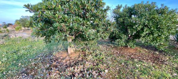 Grundstück in Ostuni, Italy 1100m², Nr. 138241 9