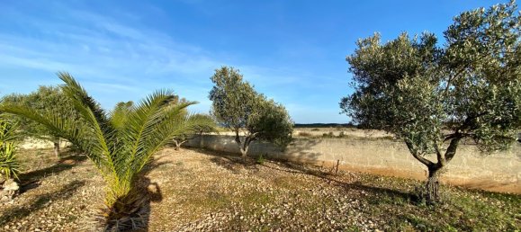 Grundstück in Ostuni, Italy 1100m², Nr. 138241 13