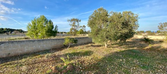 Grundstück in Ostuni, Italy 1100m², Nr. 138241 17