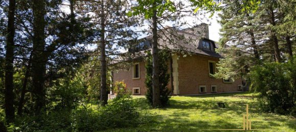 10 rooms House in St. Egyden am Steinfeld, Austria No. 50626 10