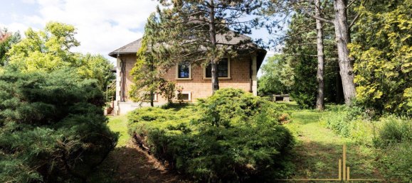 10 rooms House in St. Egyden am Steinfeld, Austria No. 50626 13