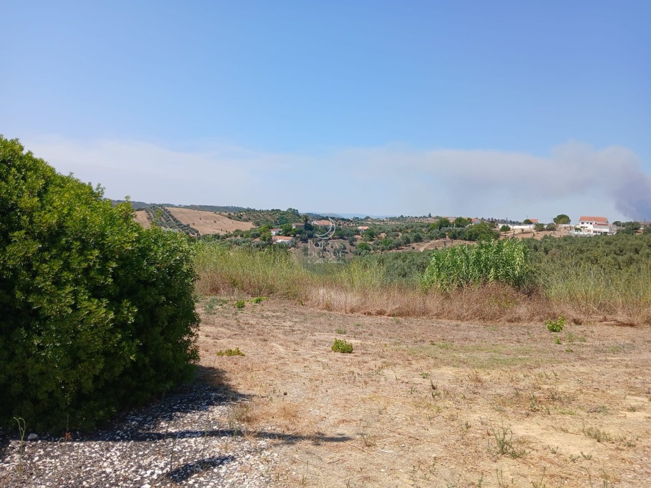 Земельный участок в Сантарен, Португалия № 249294