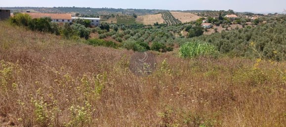  قطعة أرض في Santarem, Portugal رقم 249294 4