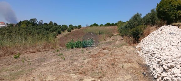  قطعة أرض في Santarem, Portugal رقم 249294 3