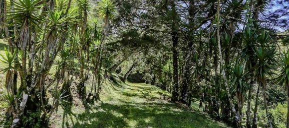  Land in San Jose, Costa Rica No. 1568 2