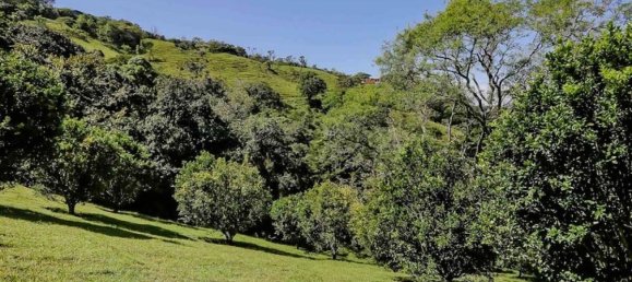  Land in San Jose, Costa Rica No. 1568 6