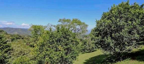  Land in San Jose, Costa Rica No. 1568 3