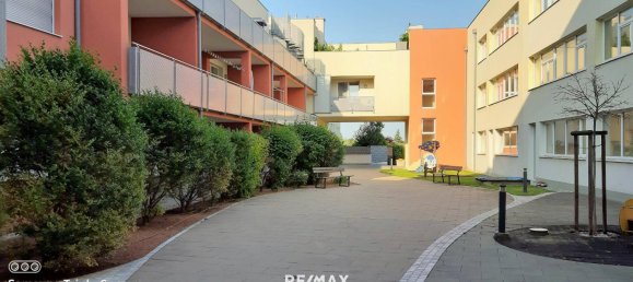 1 bedroom Apartment in Leobersdorf, Austria No. 77261 3