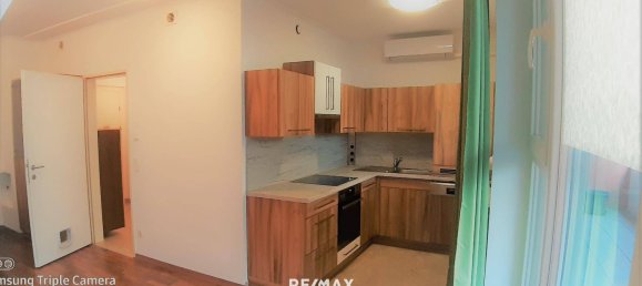 1 bedroom Apartment in Leobersdorf, Austria No. 77261 8