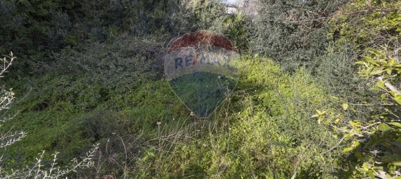 6-Zimmer Villa in Altavilla Milicia, Italy, Nr. 71135 19